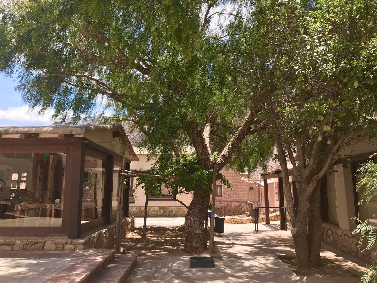 Las Vicunas Departamentos Пурмамарка Екстериор снимка